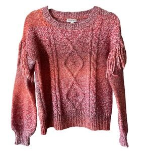 Frye & Co Pink Ombré Knit Tassel Sweater Spacedyed Size Small NWT